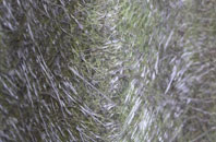 Knucklas fibreglass roof work